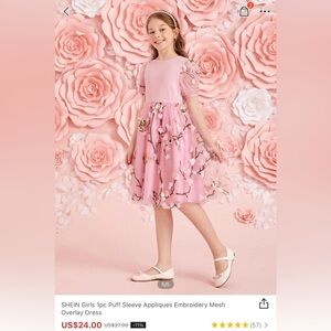 Girls Pink Floral Embroidered Dress